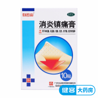 白云山 消炎镇痛膏10贴 风湿关节疼痛贴肩痛肌肉疼痛贴