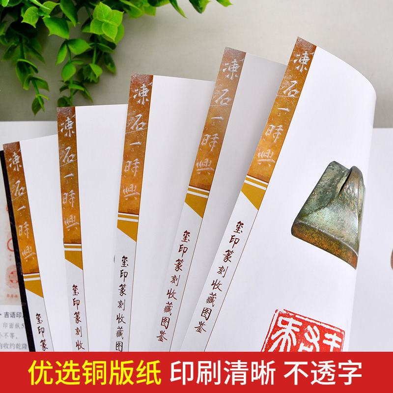[正版]玉玺篆刻鉴赏全套2册 精装彩色铜版中国玺印篆刻通史聚珍古玺印图典印章印谱大图示君匋艺术院藏三家名印二百品中国书高清大图