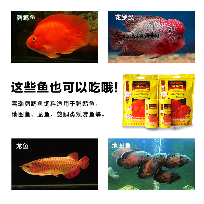 德国血鹦鹉鱼饲料红元宝鱼饲料发财鱼饲料地图鱼增艳鱼食鱼粮高清大图