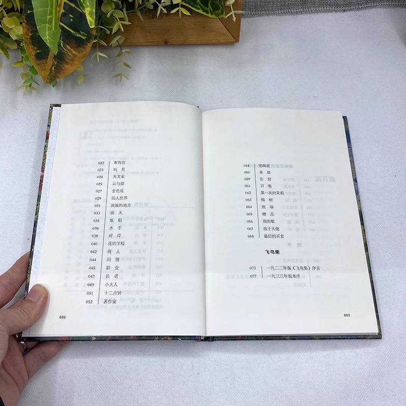 [正版]精装 生如夏花 泰戈尔 经典诗选文学散文诗歌小说书诗歌集精选飞鸟集新月集等诗集世界现当代文学作品生如夏花之绚烂高清大图