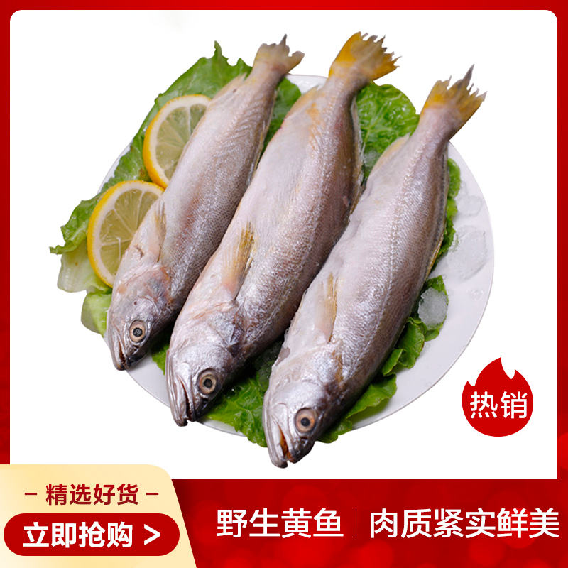 丰原食品 大西洋野生黄鱼 2-3条 500g 袋装 冷冻黄花鱼大黄鱼 海鲜水产