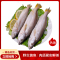 丰原食品 大西洋野生黄鱼 2-3条 500g 袋装 冷冻黄花鱼大黄鱼 海鲜水产