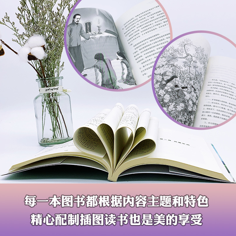 叶圣陶作品爬山虎的脚记金华的双龙洞统编小学语文教科书同步阅读书系小说散文集全方位提升小学生阅读写作能力四年级_663