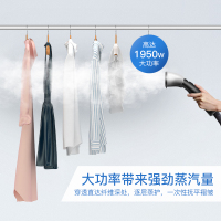 立挺LT-9型家用 服装店用 商用蒸汽烫斗全铜接口挂烫机 寿命更长 耐用型烫衣机