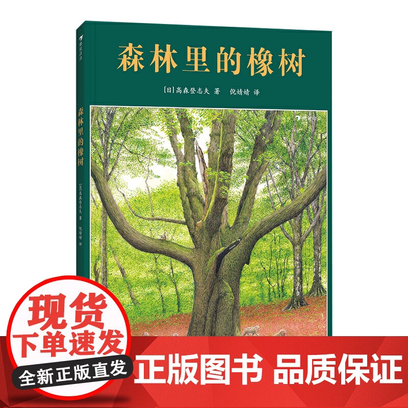 森林里的橡树高清大图