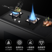 林内（Rinnai）欧式顶吸油烟机烟灶NM05T+2E01M&升级360°安防系统零温差恒温静音RUS-13QH04