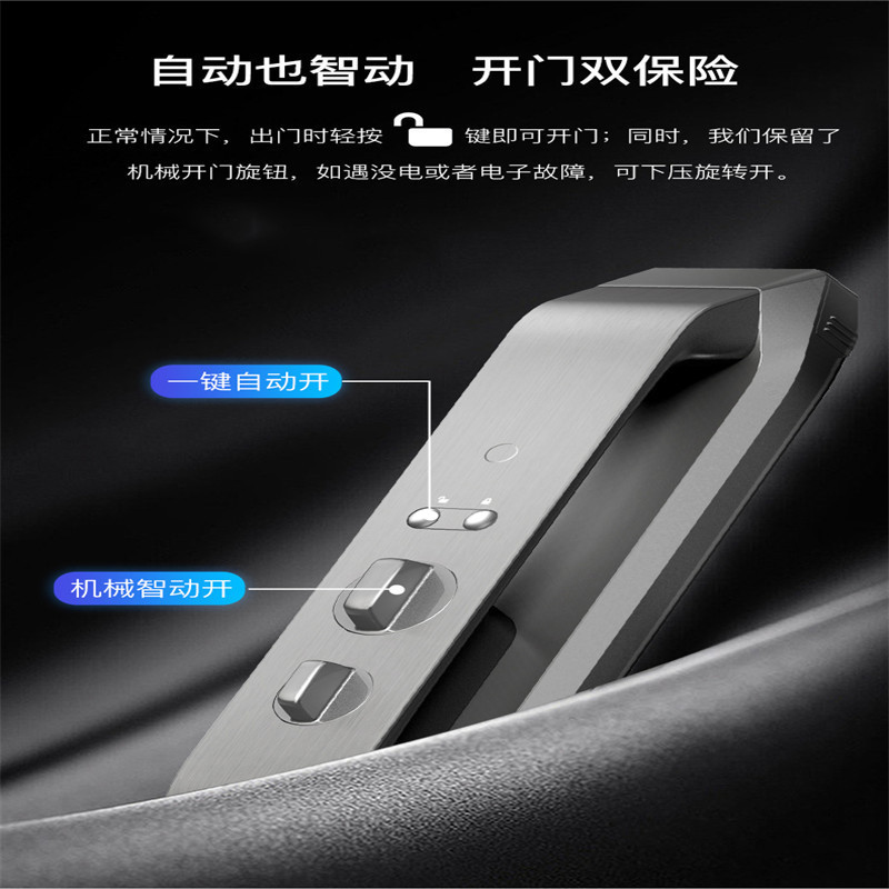 德施曼Q5全自动智能锁
