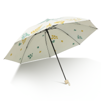 洁柔抽纸雨伞组合(抽纸18包+晴雨伞)