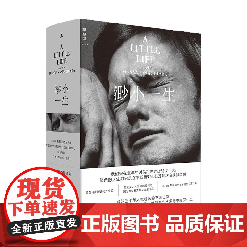 渺小一生 柳原汉雅 著 小说高清大图