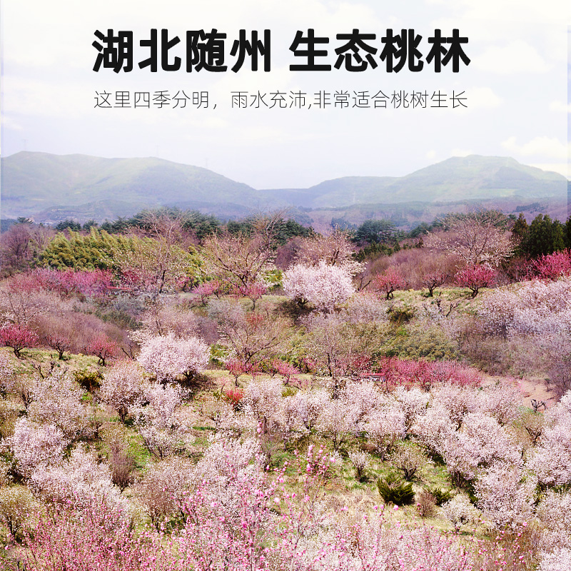 杞里香 方罐桃胶300g高清大图