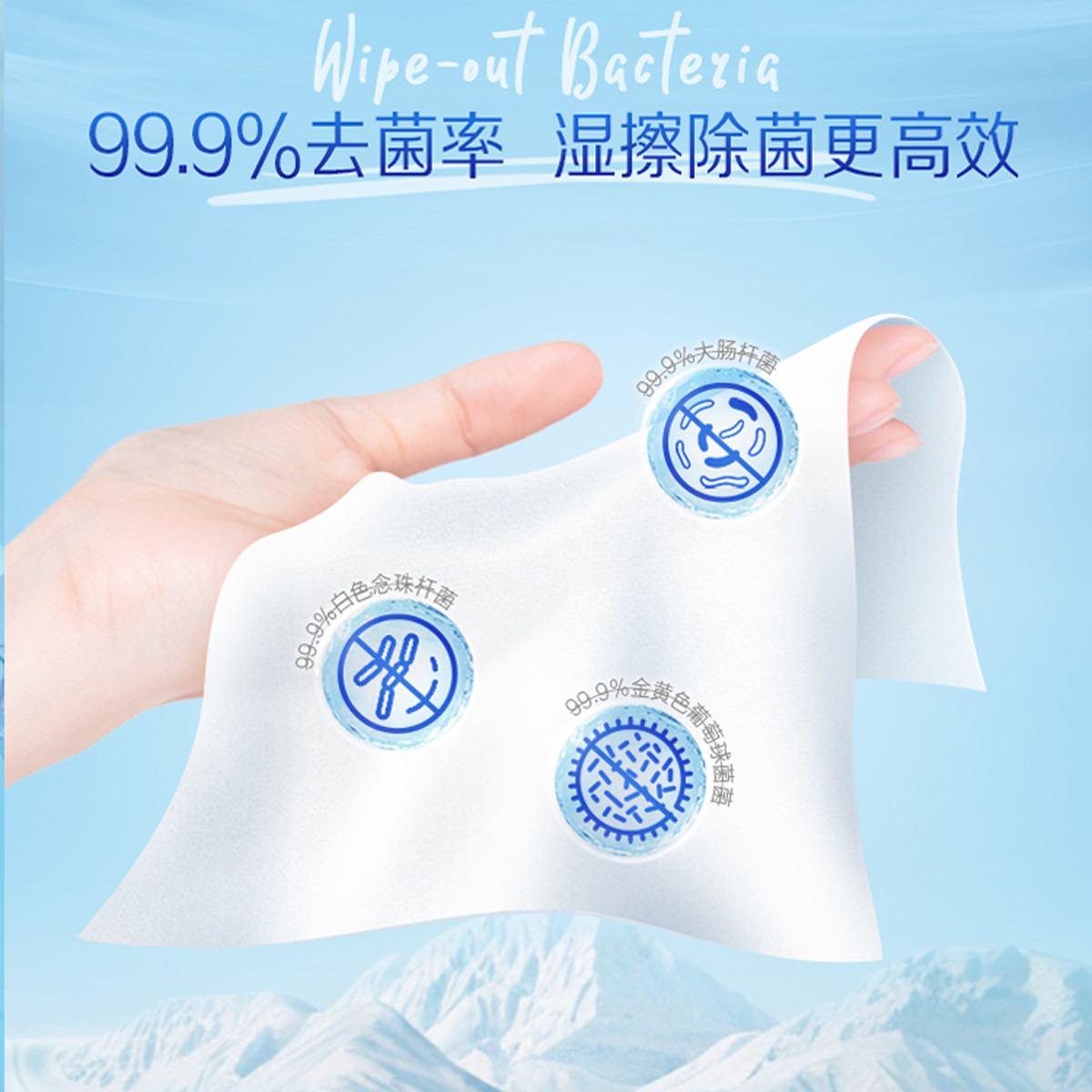 Tempo得宝纯水湿厕纸40片2包共80片 纯水擦屁屁温和不刺激可冲散卫生湿厕纸经期可用(新旧包装交替发货)高清大图