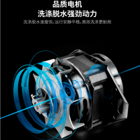 长虹18/25公斤大容量波轮式洗衣机宾馆酒店浴场毛毯家商两用洗脱一体机 18公斤 自编程商用款