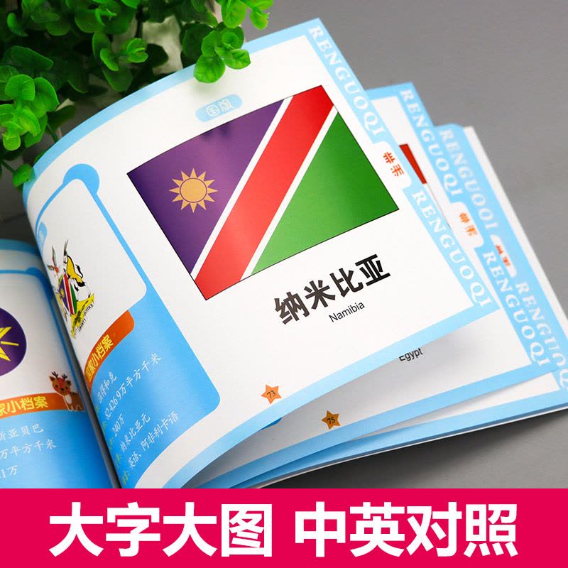 [4本]果蔬+物品+交通+动物 [正版]童眼看世界 认名车认汽车+认标志+认 儿童绘本0-3-6岁婴幼儿童宝宝启蒙亲图片