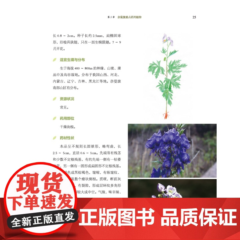 奈曼旗药用植物图谱 北京科学技术高清大图