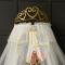 美帮汇白天鹅家用公主蚊帐公主风1.51.8m床风落地加密床帘一体式蚊帐