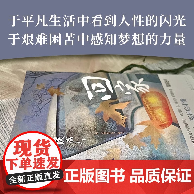 [央视网]回家 第十届茅盾文学奖得主梁晓声著 电视剧人世间 入选小说月报中篇小说选刊中华文学选刊 聚焦大时代中的平凡小人高清大图