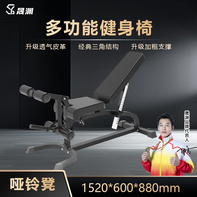 晟渊哑铃凳仰卧起坐板商用多功能健身椅YZYLD37