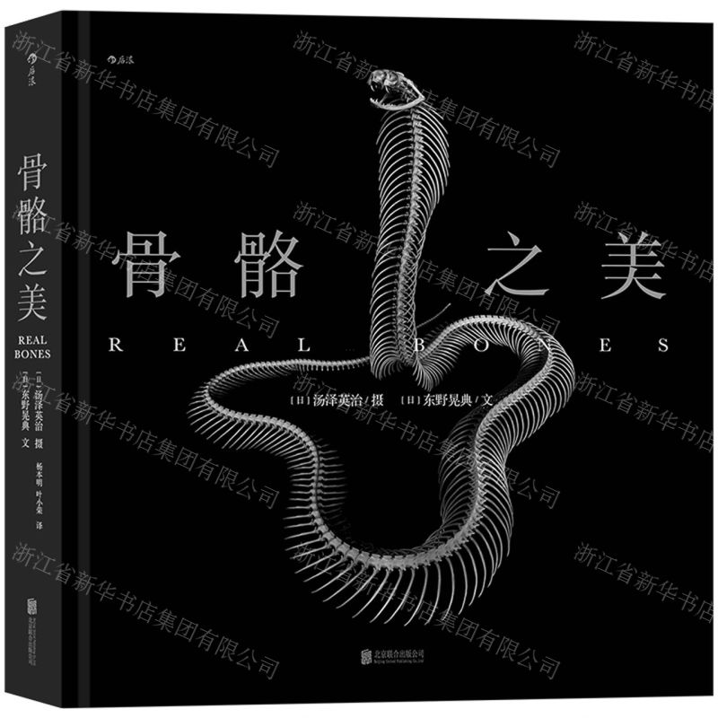 【N】骨骼之美(精)-9787559646484