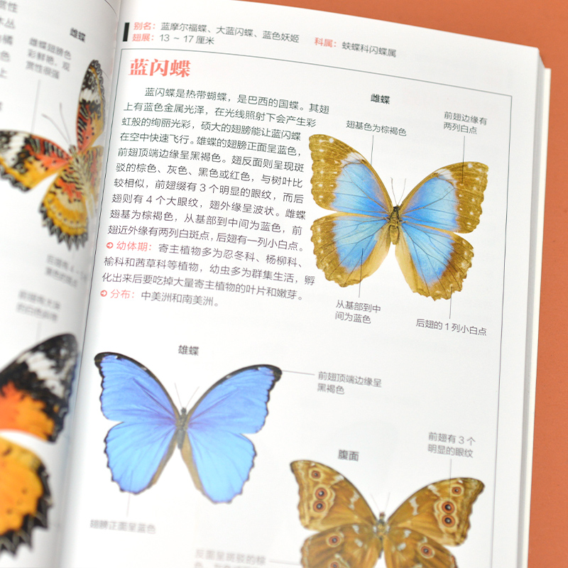[正版]读蝴蝶图鉴(全新升级版)精美蝴蝶图片生命科学蝴蝶的分类生物学基础知识世界蝴蝶名录图鉴蝴蝶品种蝴蝶爱好者工具书籍高清大图