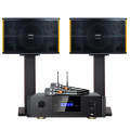 山水（SANSUI） PK-10家庭家用ktv音响套装 大功率音箱 PK10十喇叭音响+功放+话筒