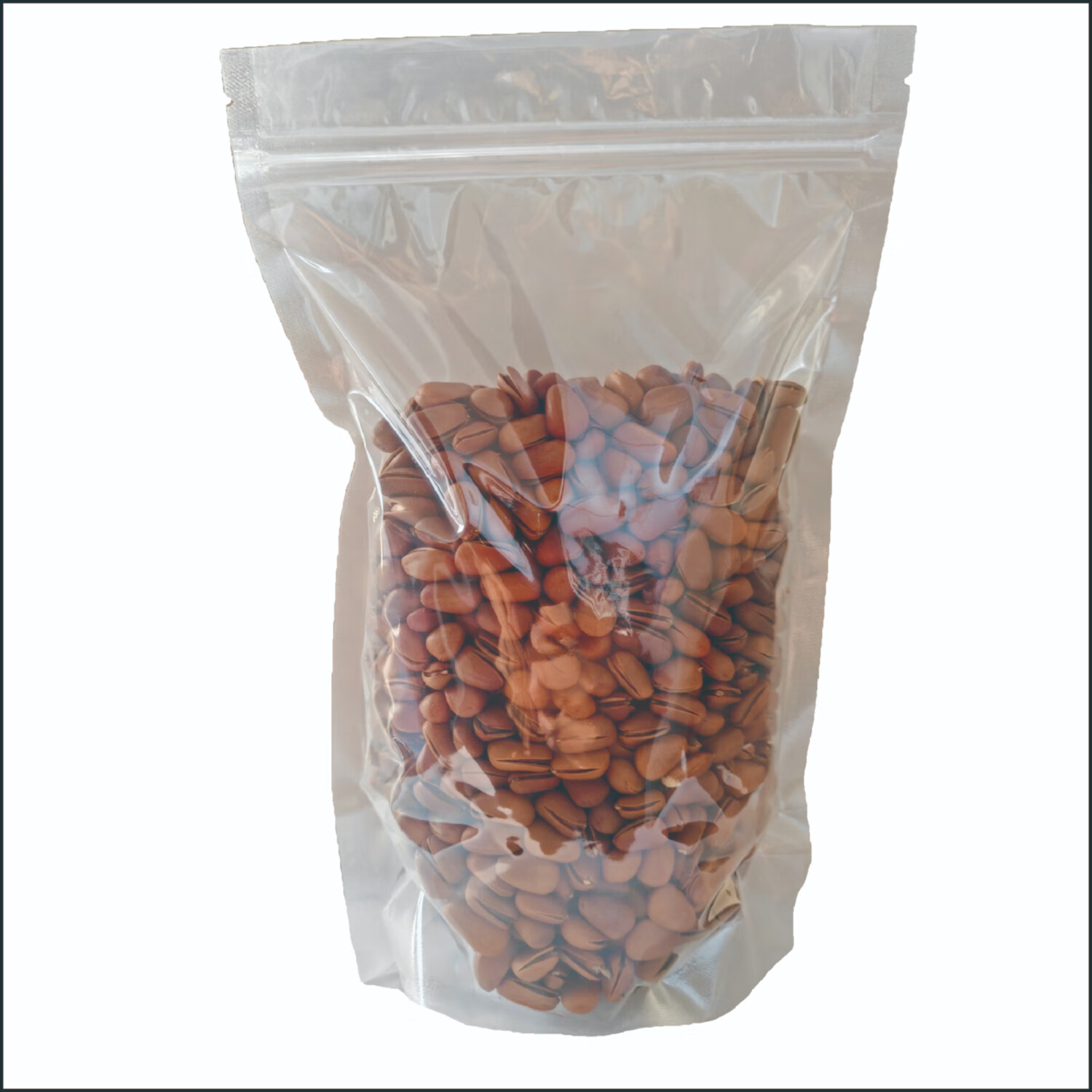 新全新松子500g/袋高清大图