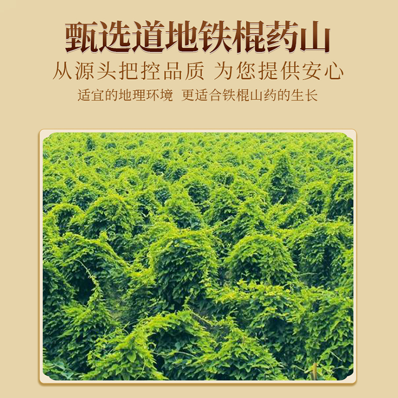 [买1送1同款]北京同仁堂铁棍山药粉150g代餐粉营养早餐即冲即食怀山药熟粉高清大图