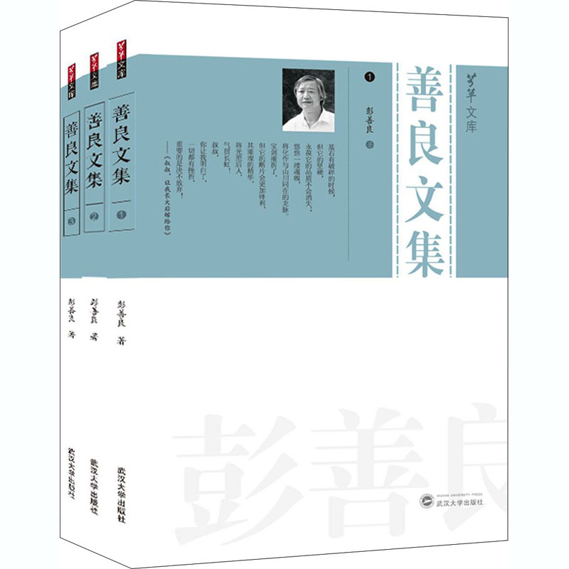 醉染图书善良文集(1-3)9787307216389