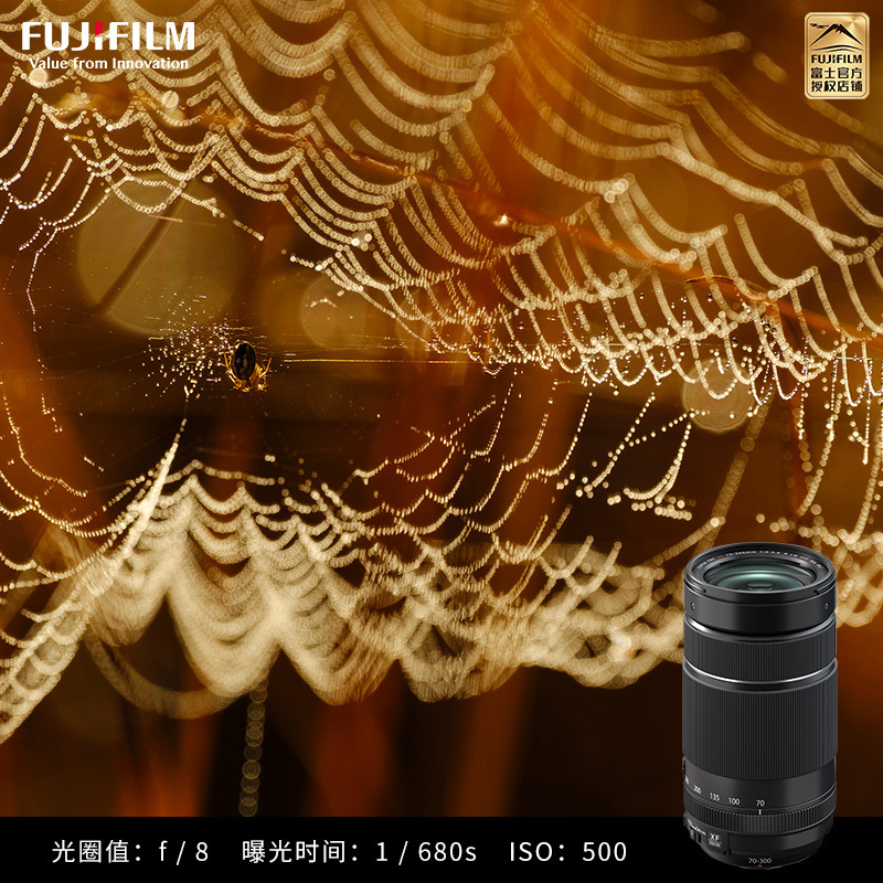 FUJIFILM/富士龙镜头XF70-300mmF4-5.6R 标配 LM自动对焦/拍鸟摄月/三防设高清大图