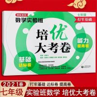 打牢基础能力提高卷 7年级 数学培优大考卷实验班试卷基础各地综合习题复习考点全国789年级