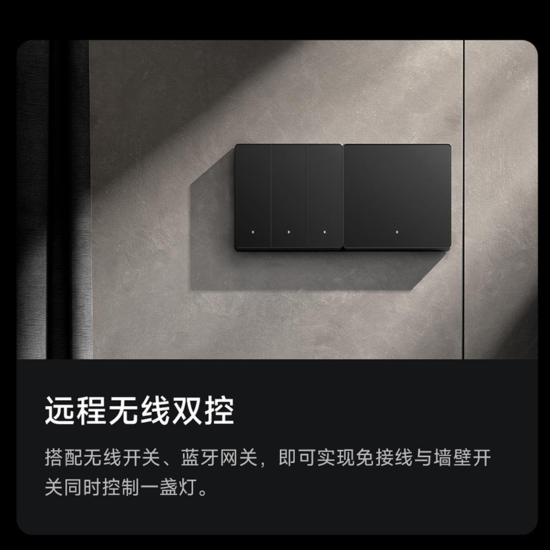 小米米家智能开关pro双控家用墙壁面板遥控智能米家无线远程控制-双开