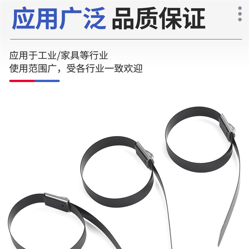 幸庭 包塑不锈钢扎带9*250mm 包 (百根/包)高清大图