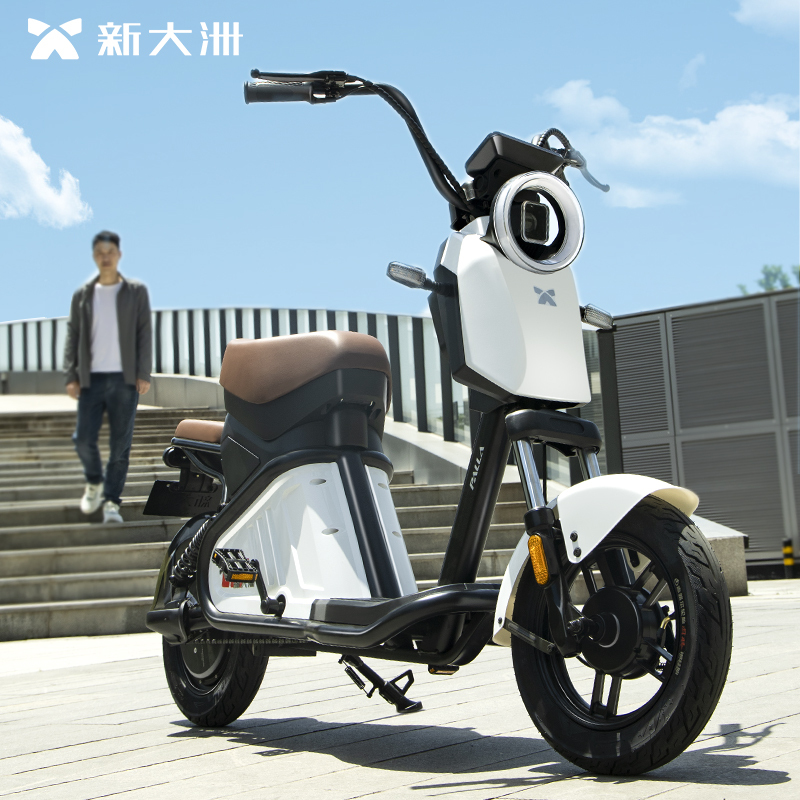 派乐/palla 007 新国标48v24ah可提锂电电动自行车长续航潮酷时尚成人