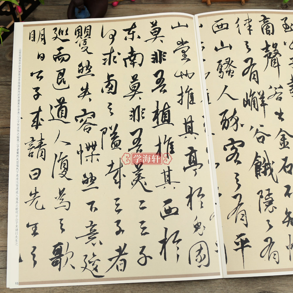 [正版]杨维桢墨迹选彩色放大本中国著名碑帖繁体旁注孙宝文行书草书毛笔字帖书法成人学生临摹帖古帖籍 上海辞书出版社学海轩高清大图