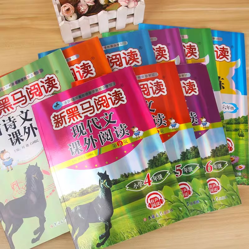24版新黑马阅读丛书 语文阅读同步拓展训练 小学二年级 [正版]2024新版新黑马阅读一二三四五六1-6年级上下册语文英