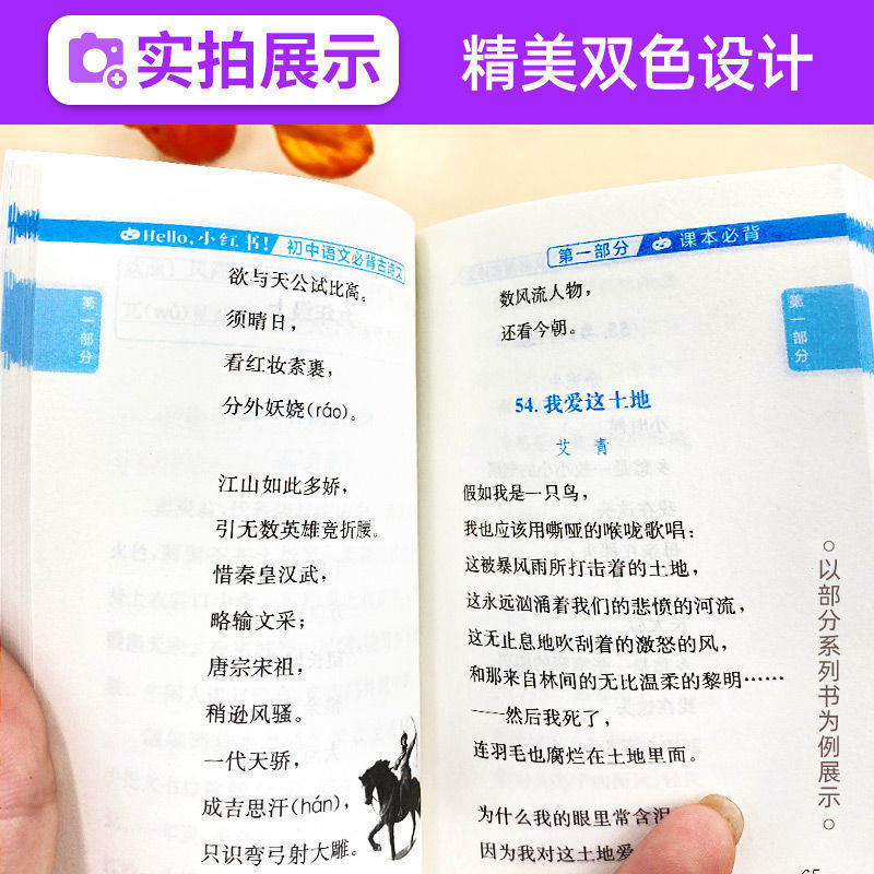 15.[语文]基础知识 初中通用 [正版]小红书初中口袋单词书小红本语文数学英语物理化学生物政治历史地理全套知识清单初中高清大图