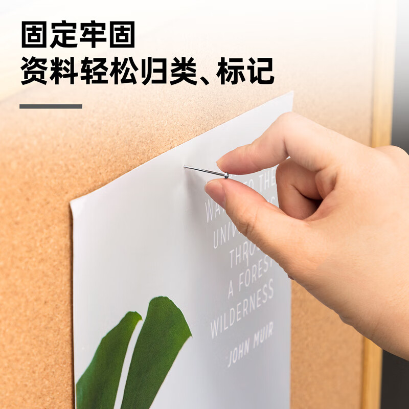 得力0039大头针 100g/筒 3# 直别针 图钉金属按钉镀镍大头针 平头钉固定墙壁便条