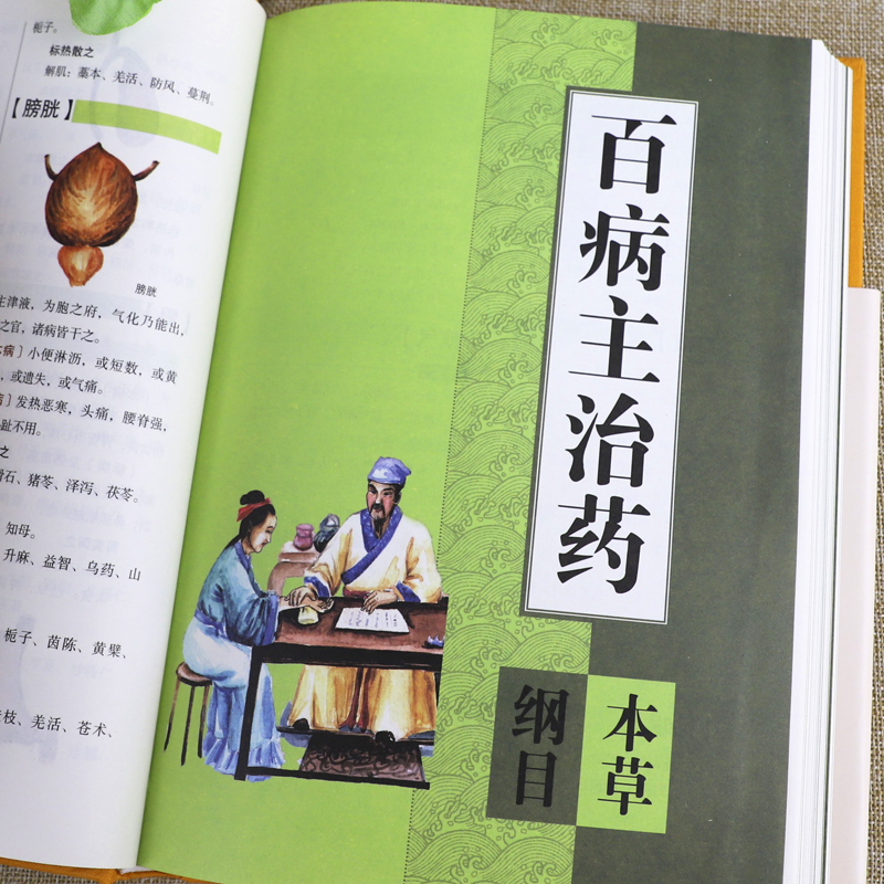[醉染正版]全八册 黄帝内经+汤头歌诀+本草纲目+千金方+神农本草经+温病条辨+金匮要略+伤寒论 中医经典书籍中医基础理高清大图