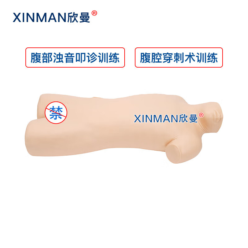 欣曼科教 腹部移动性浊叩诊与腹腔穿刺训练模型 腹腔穿刺模拟人XM-1020高清大图