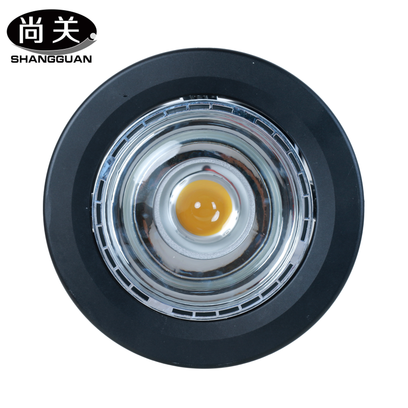 尚关(SHANGGUAN) LED智能型升降灯SQ-Z44G 75W 只高清大图