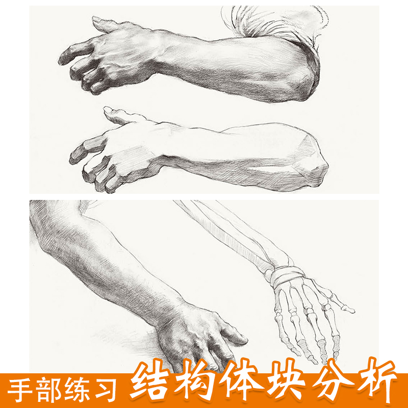 [正版]sh经典全集 素描半身像带手人物线性临摹书写生画照片中国美术高清大图