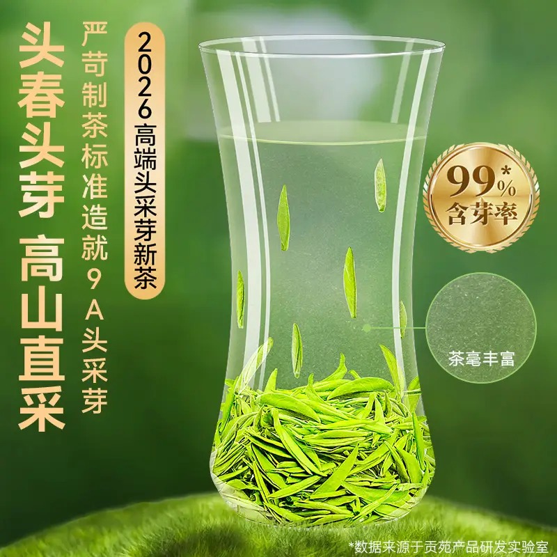 贡苑2024年新茶头采碧螺春50g [遥遥领鲜]高清大图