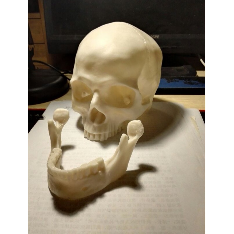 热卖 美术素描模型1:1人体骨骼模型人头骨树脂骷髅头办公摆件绘画 肌肉人头像（乳白色）高清大图