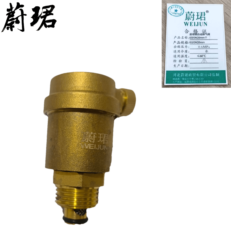 蔚珺铜自动排气阀6分DN20mm个