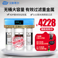 汉斯希尔(SYR) 厨下式净水器家用直饮净水机纯水机WS-6030-4004 智能净水器 家用纯水机 无桶RO膜反渗透