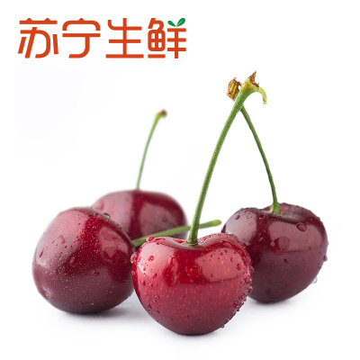 [苏宁生鲜]辽宁大连樱桃1盒(250g/盒)