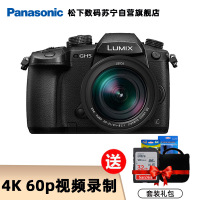 松下(Panasonic)DC-GH5GK微单相机 单机身(无镜头)