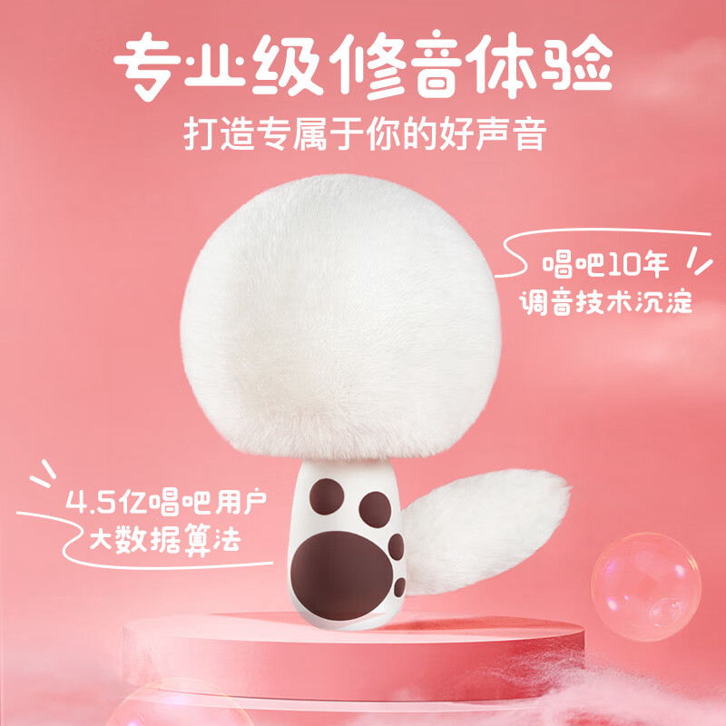 唱吧 小巨蛋G21麦克风