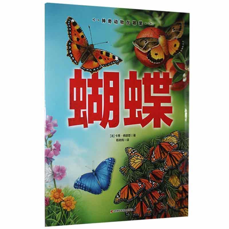 正版新书]蝴蝶卡蒂·佛朗哥9787557878191高清大图