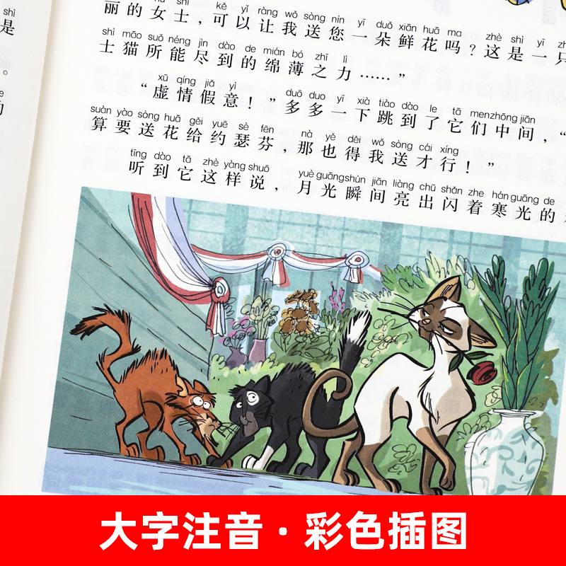 [全套8册]神探猫+物理启蒙 [正版]小学生侦探推理故事书注音彩图版 神探猫破案冒险集全6册儿童探险冒险悬疑破案书籍高清大图