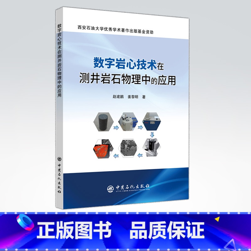 【正版】数字岩心技术在测井岩石物理中的应用 岩心分析-应用-岩体测井-岩石物理学 9787511451347 中国石化出